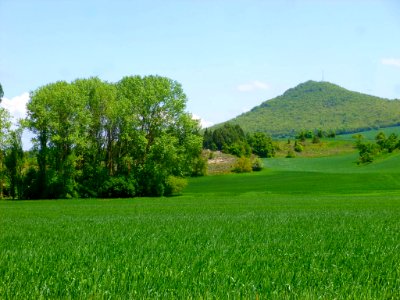 Gomecha 56