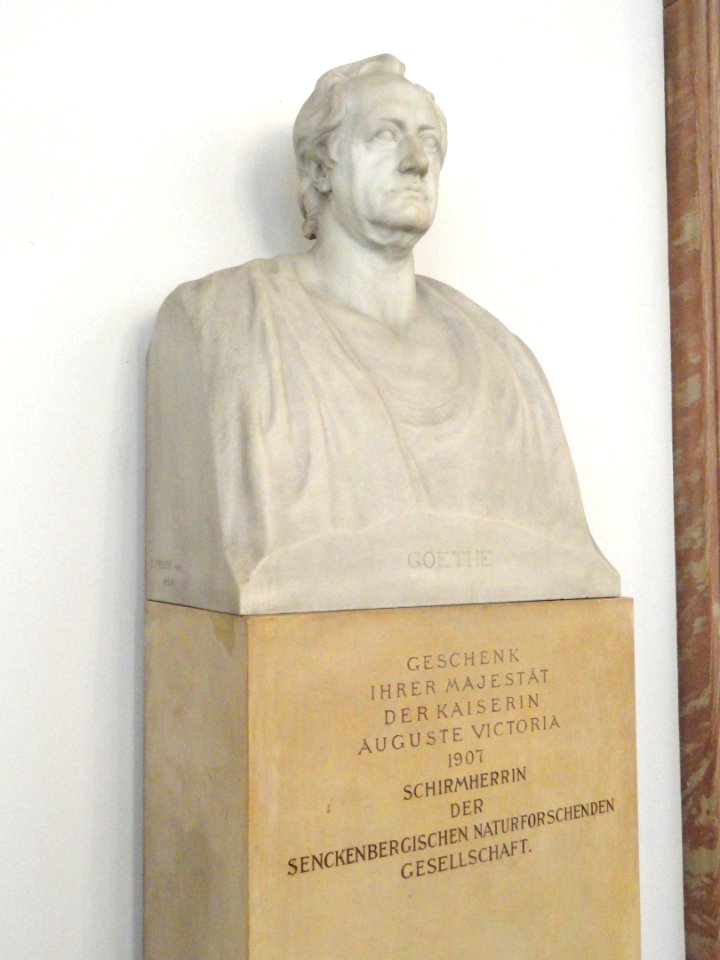 Goethe by Ernst Freese - Naturmuseum Senckenberg - DSC02167