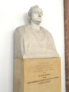 Goethe by Ernst Freese - Naturmuseum Senckenberg - DSC02167