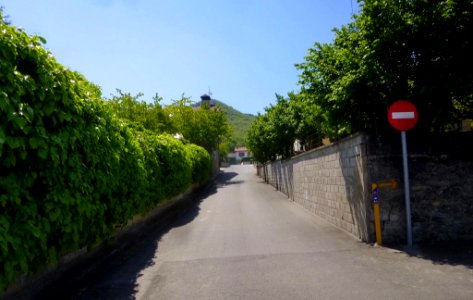 Gomecha 07