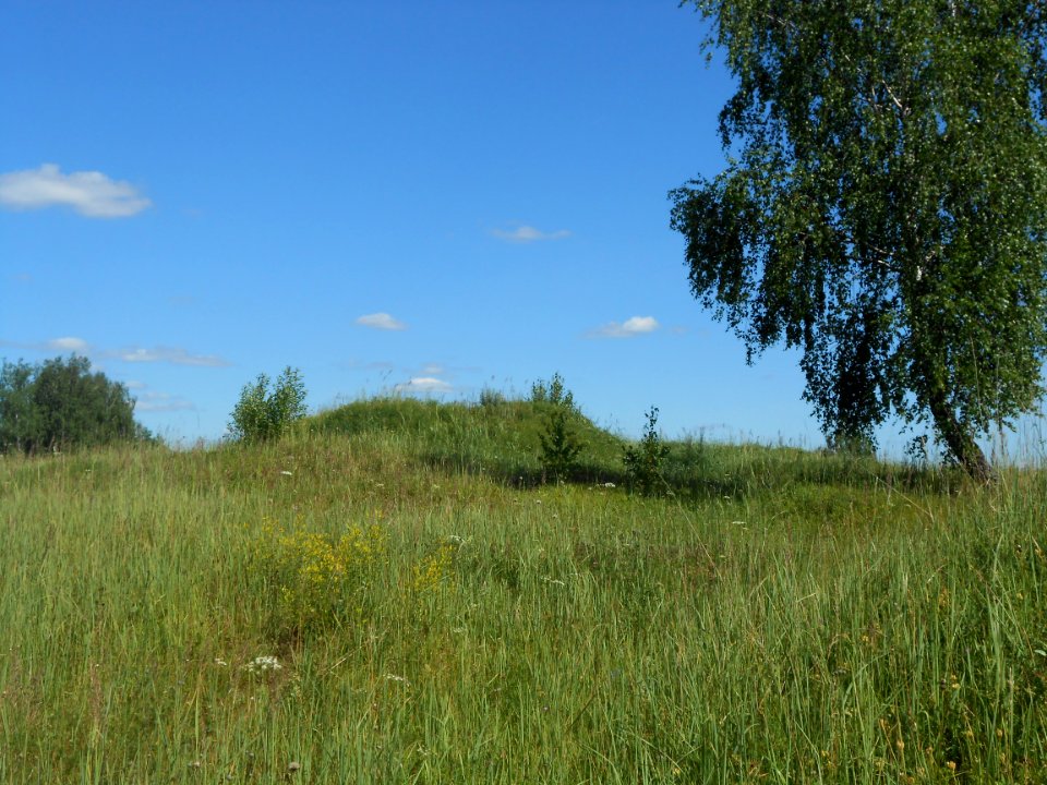 Gnezdovo complex - Central kurgan group - 12