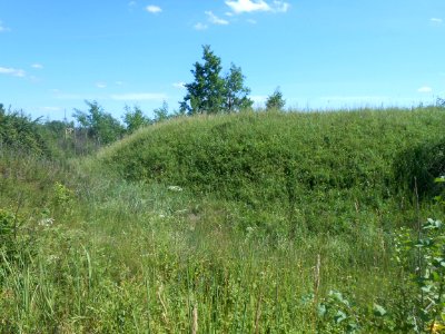 Gnezdovo complex - Central kurgan group - 02
