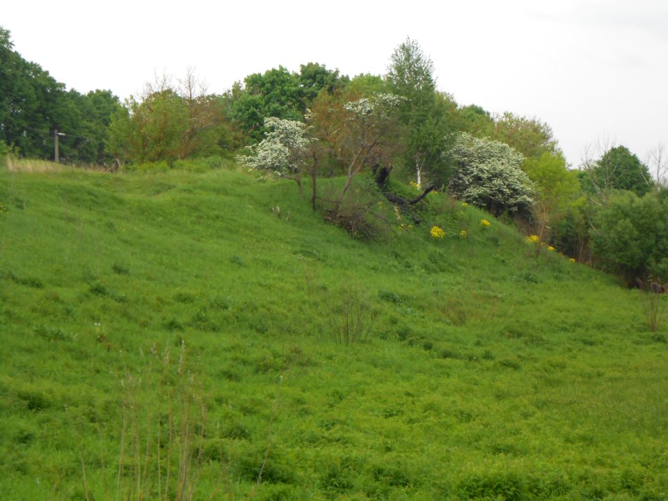 Gnezdovo complex - Central hillfort - 10