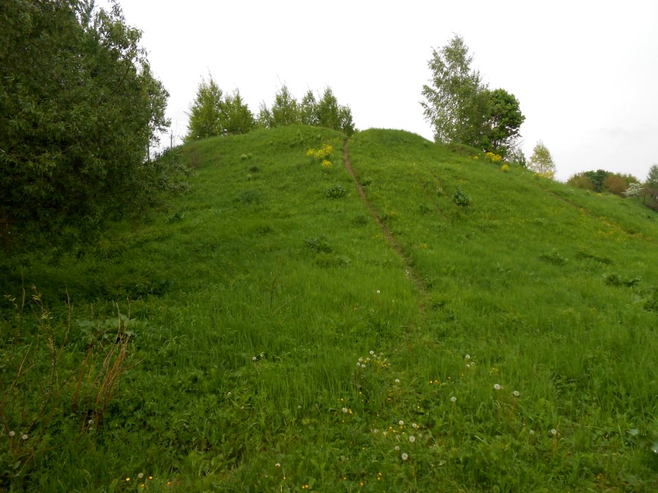 Gnezdovo complex - Central hillfort - 13