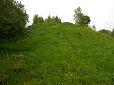 Gnezdovo complex - Central hillfort - 13