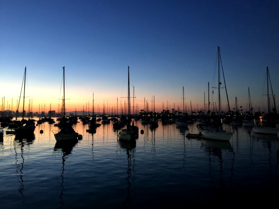 Good Morning Sd (159730691)