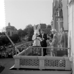 Goochelaarscongres in Zwolle, Bestanddeelnr 908-7503