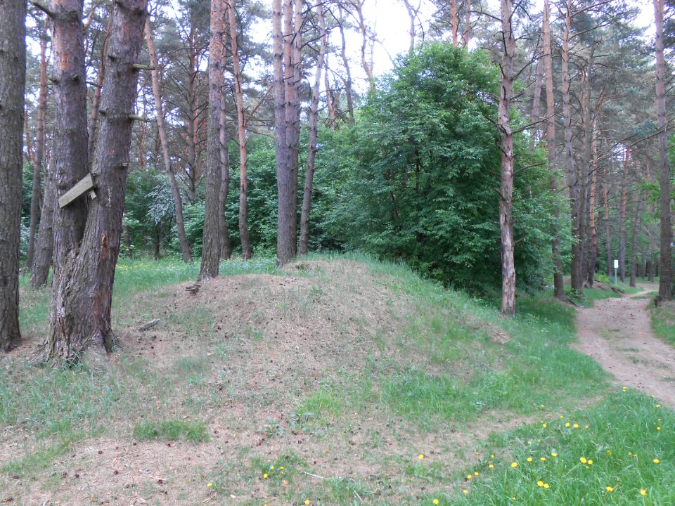Gnezdovo complex - Glushenkovskaya kurgan group - 07