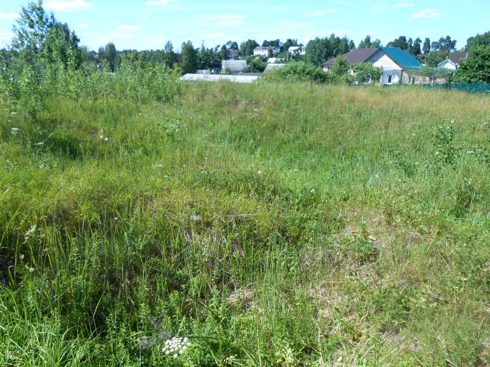 Gnezdovo complex - Central kurgan group - 07