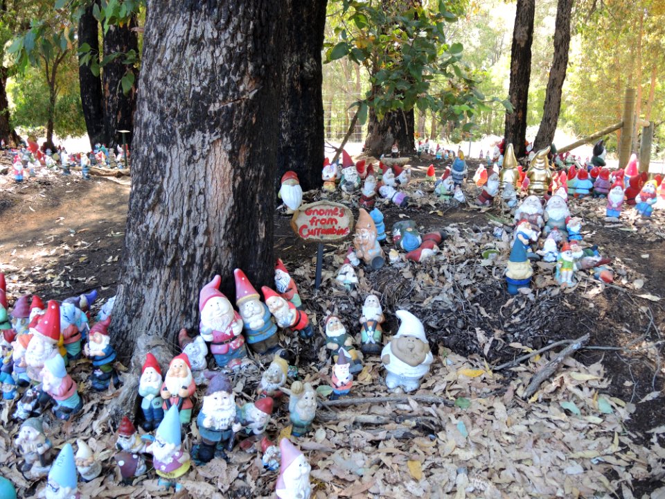Gnomesville (Jan 2019) 06
