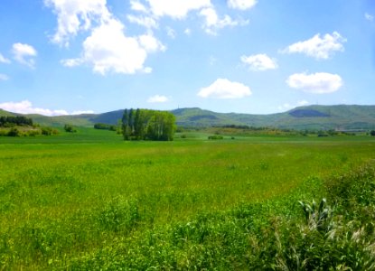 Gomecha 59