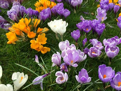 Nature season floral