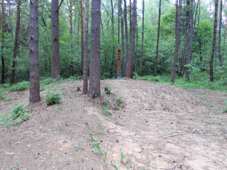 Gnezdovo complex - Forest kurgan group - 27
