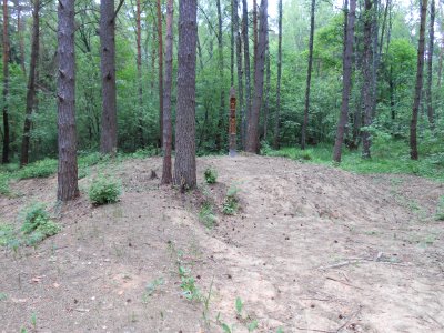 Gnezdovo complex - Forest kurgan group - 27