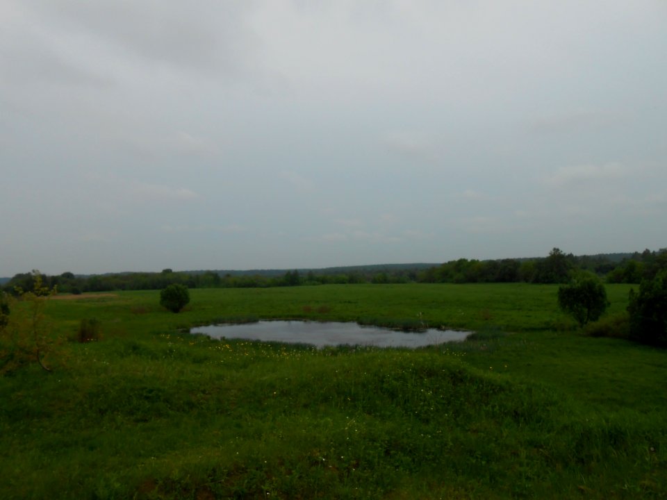 Gnezdovo complex - Central hillfort - 07