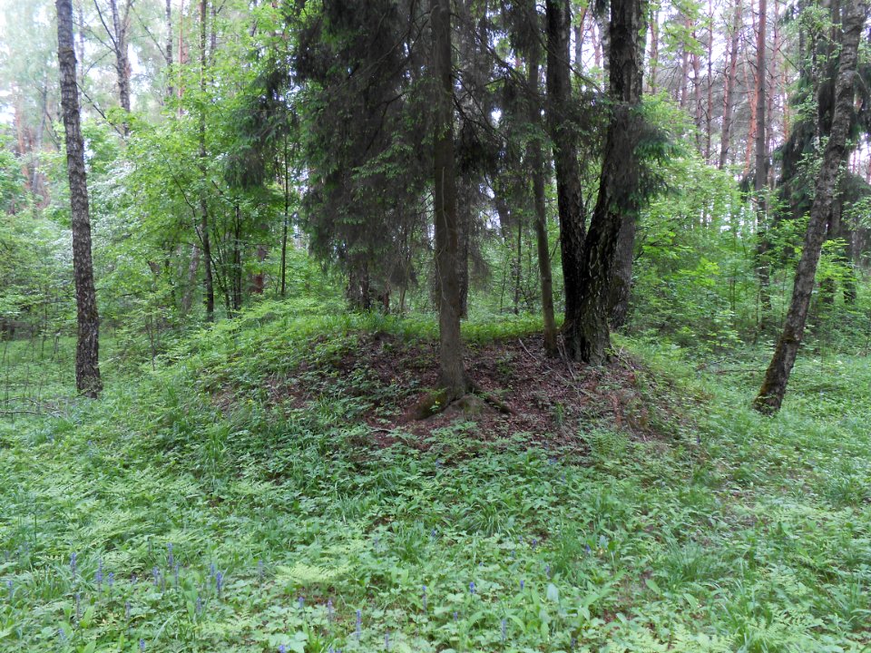 Gnezdovo complex - Forest kurgan group - 14