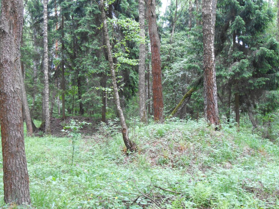 Gnezdovo complex - Forest kurgan group - 06