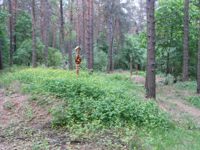 Gnezdovo complex - Forest kurgan group - 02