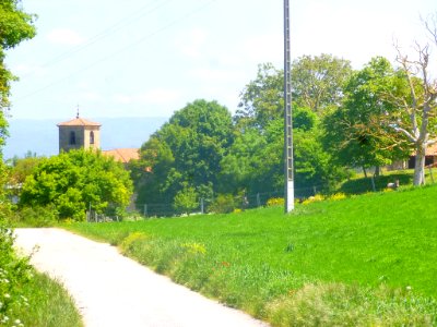 Gomecha 29