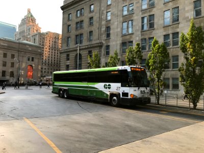 GO Bus 2481