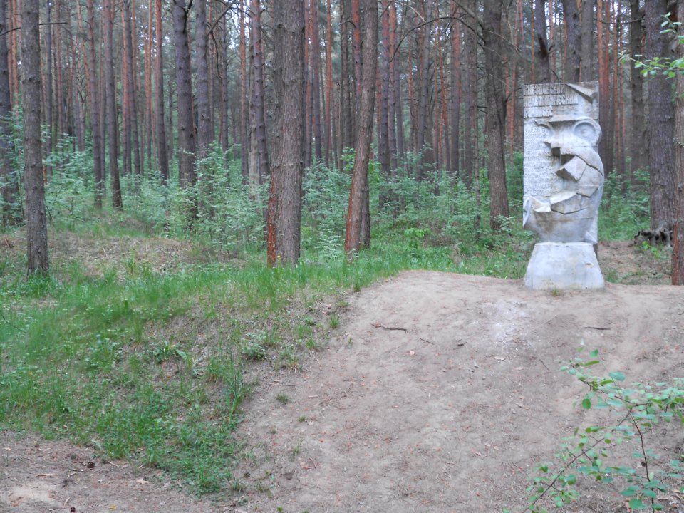 Gnezdovo complex - Forest kurgan group - 25