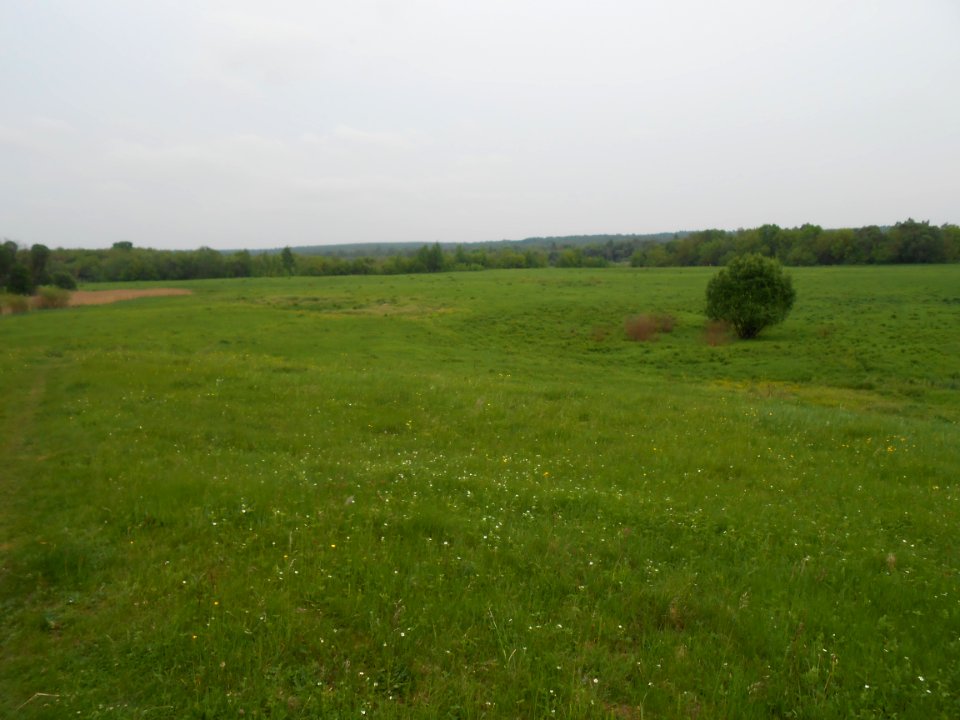 Gnezdovo complex - Central hillfort - 04