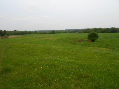 Gnezdovo complex - Central hillfort - 04
