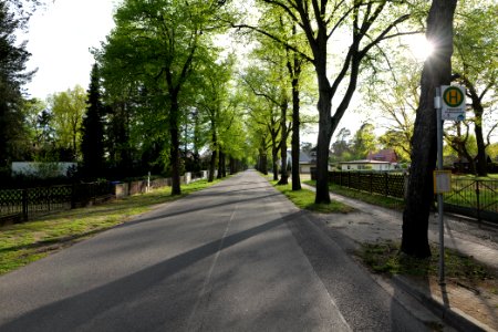 Goethestraße Dabendorf 2021-05-09 02