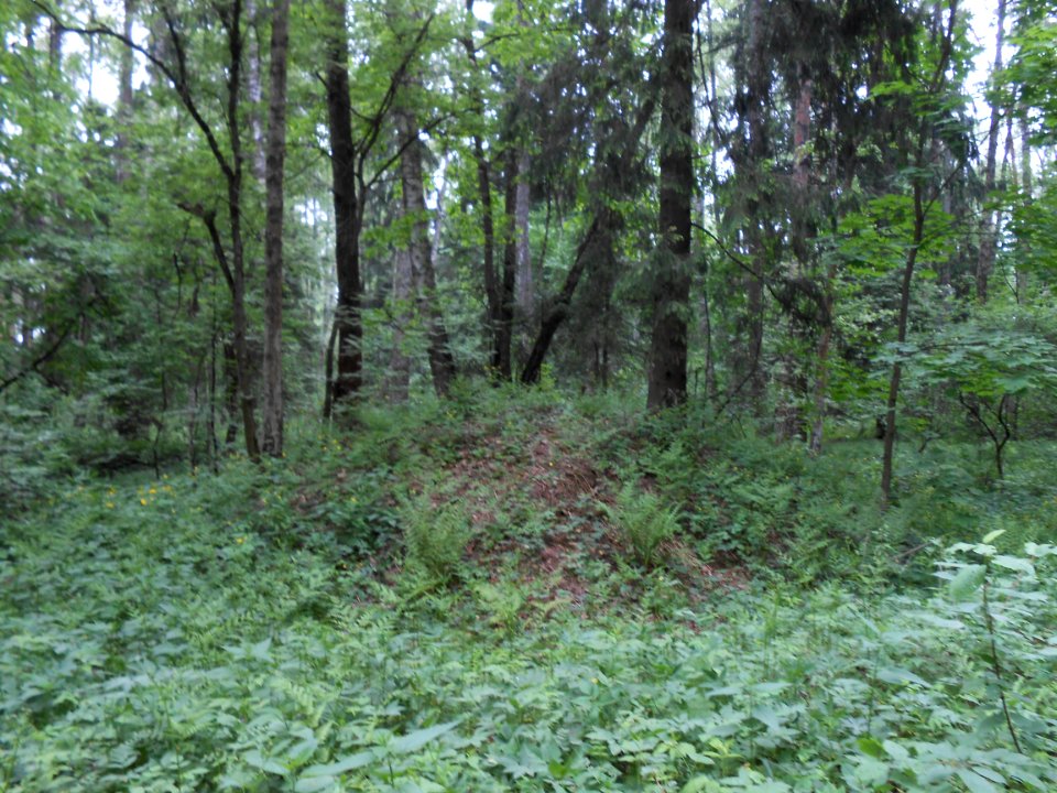 Gnezdovo complex - Forest kurgan group - 32
