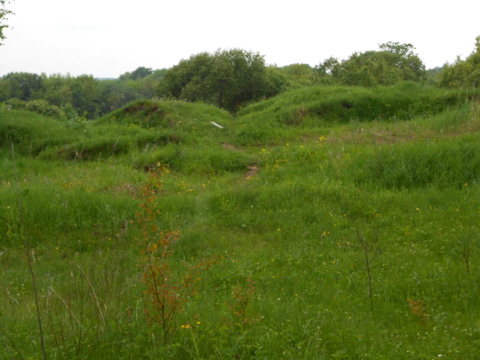 Gnezdovo complex - Central hillfort - 05