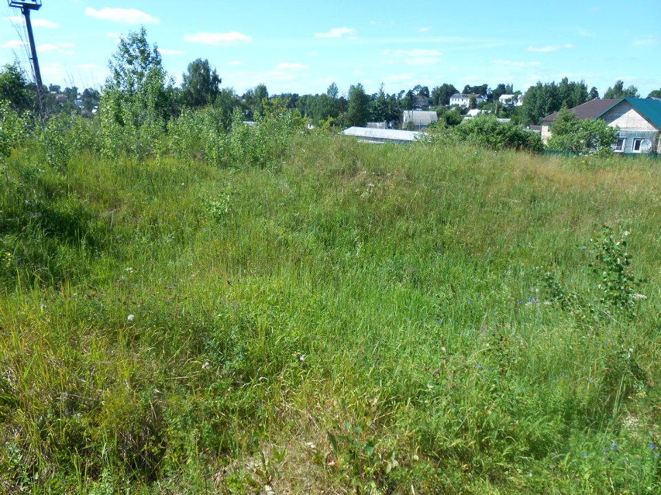 Gnezdovo complex - Central kurgan group - 08