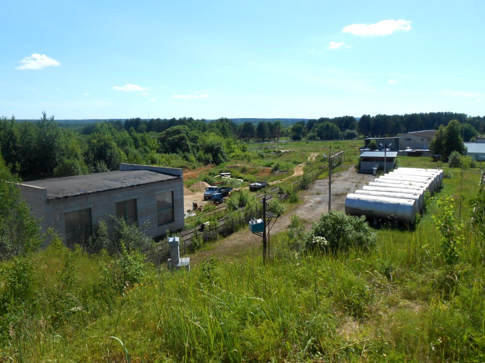 Gnezdovo complex - Central kurgan group - 05
