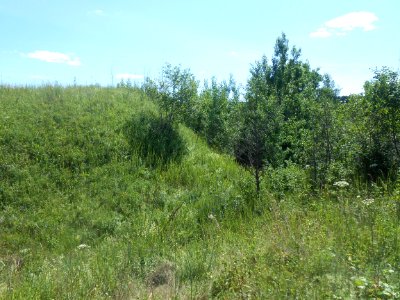 Gnezdovo complex - Central kurgan group - 03