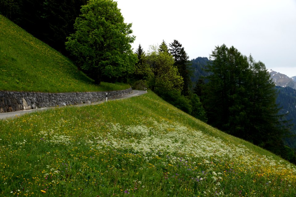 Gnalp Alte Strasse – WAF 300 J FL