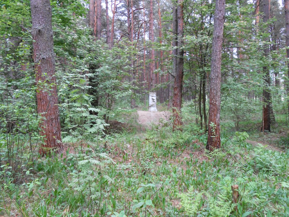 Gnezdovo complex - Forest kurgan group - 26