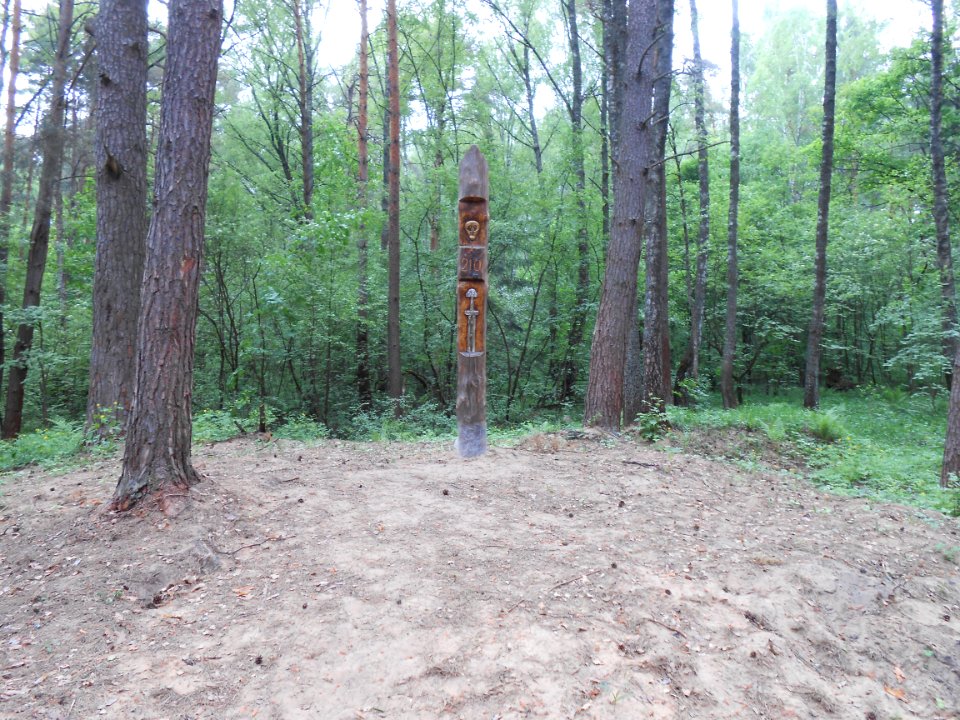 Gnezdovo complex - Forest kurgan group - 28