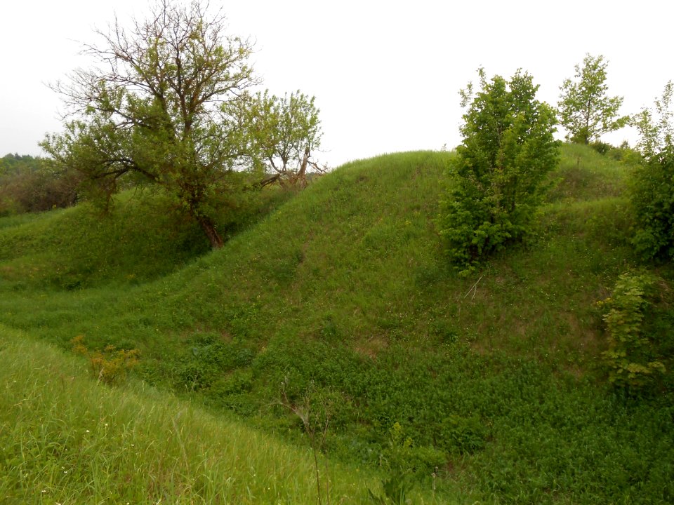 Gnezdovo complex - Central hillfort - 02