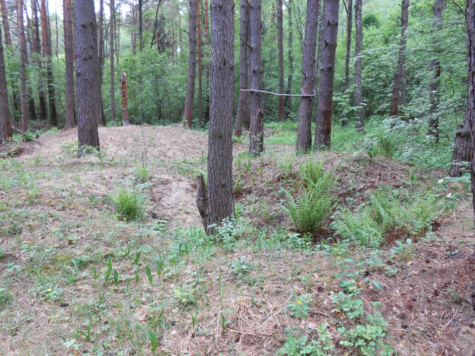 Gnezdovo complex - Forest kurgan group - 29