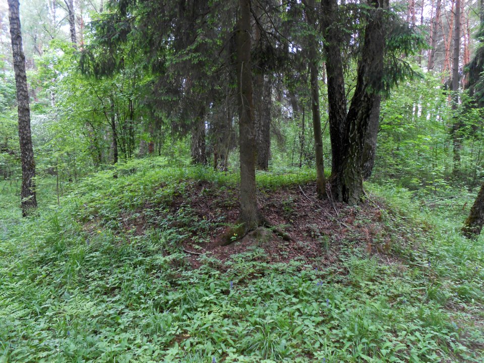 Gnezdovo complex - Forest kurgan group - 15