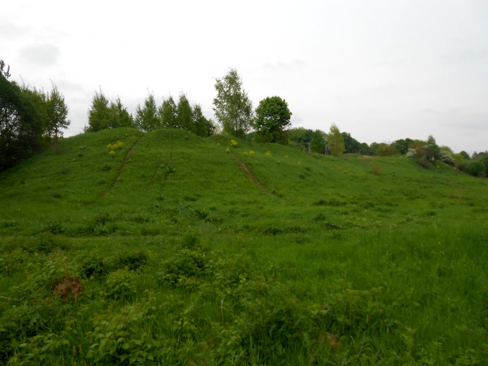 Gnezdovo complex - Central hillfort - 08