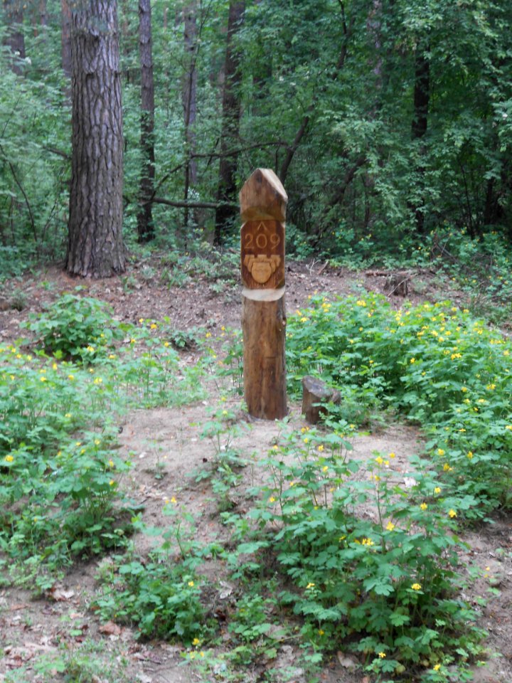 Gnezdovo complex - Forest kurgan group - 05