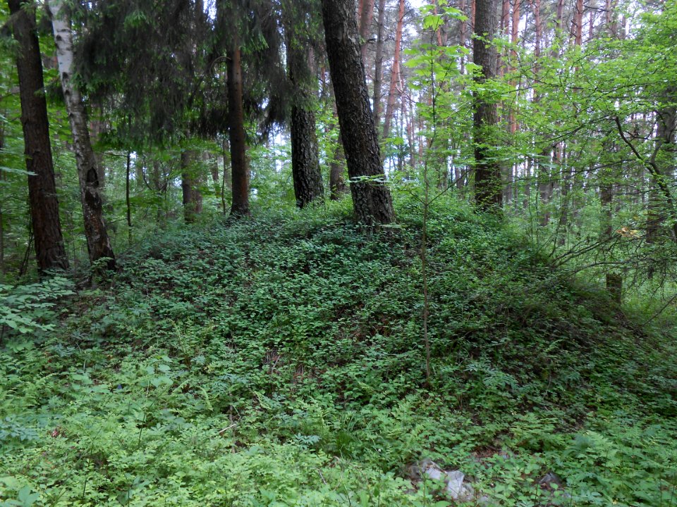Gnezdovo complex - Forest kurgan group - 18