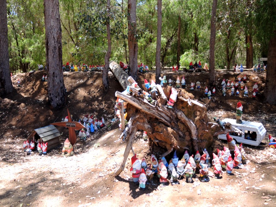 Gnomesville (Jan 2019) 11