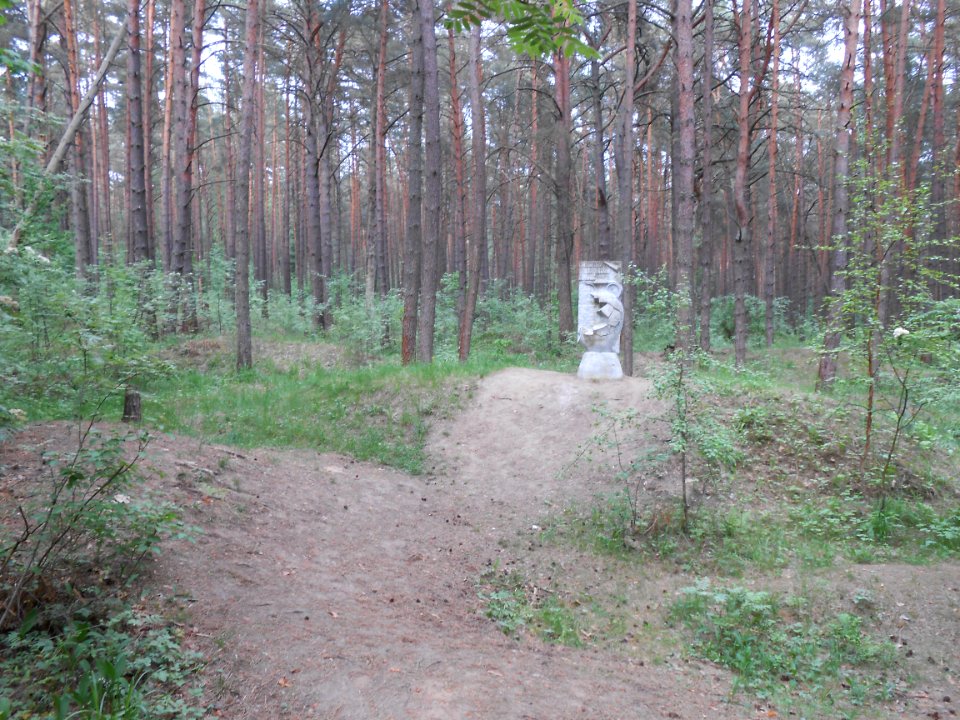 Gnezdovo complex - Forest kurgan group - 24