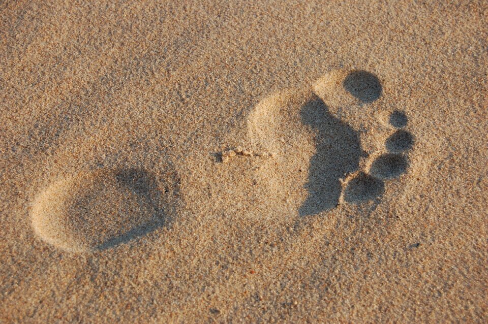 Summer beach beach sand