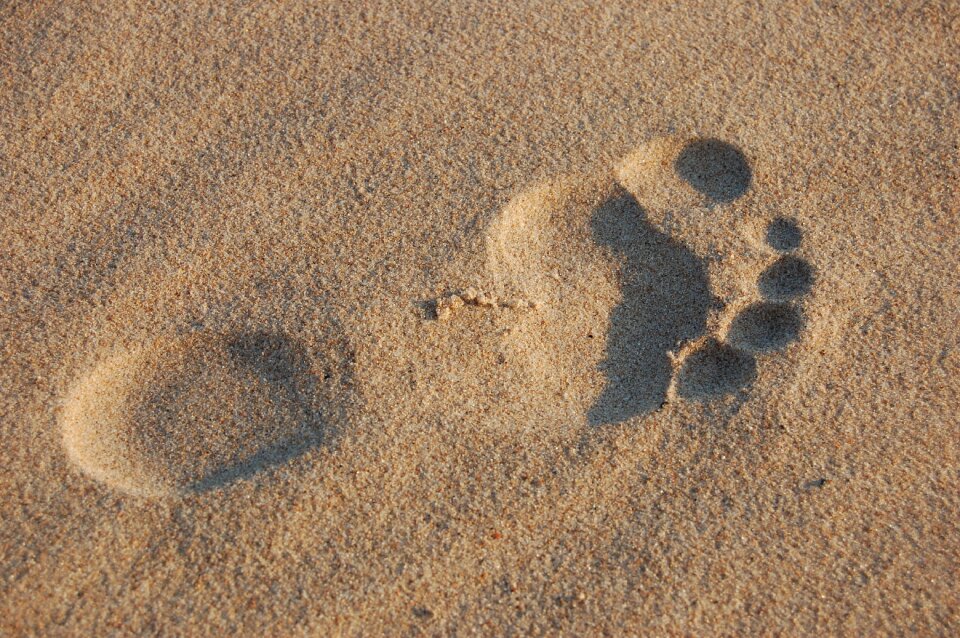 Summer beach beach sand photo