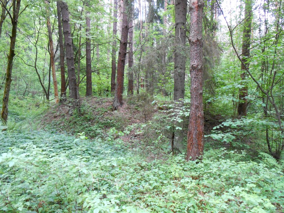 Gnezdovo complex - Forest kurgan group - 31
