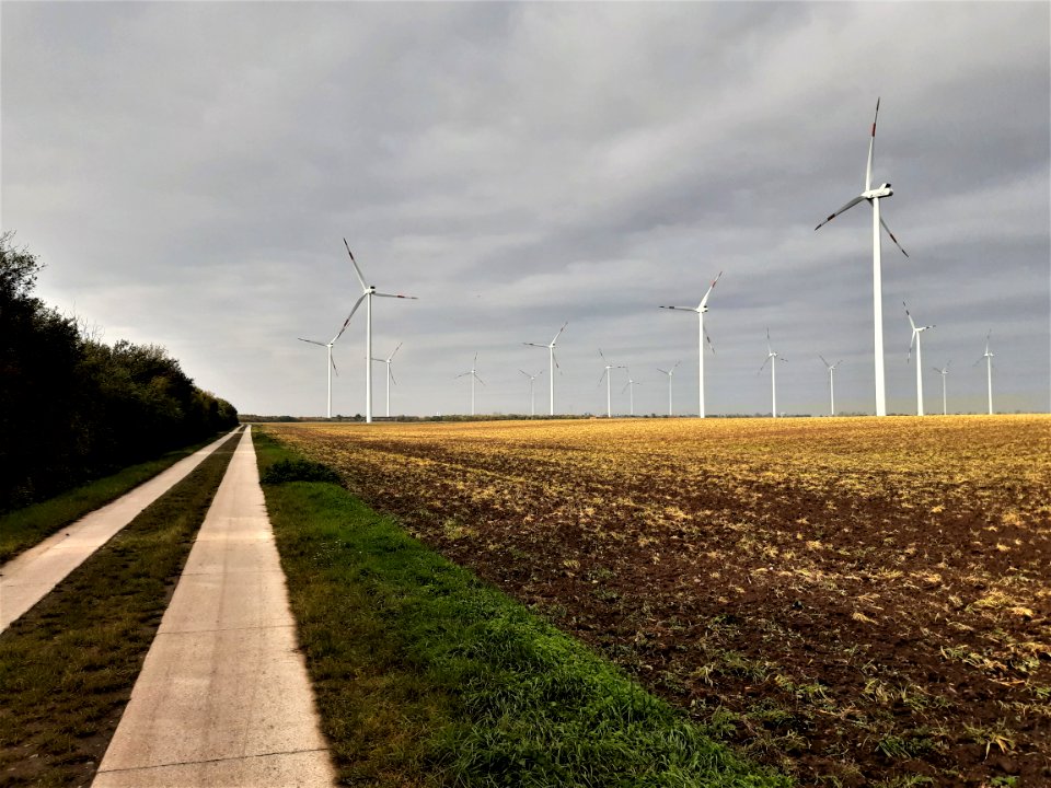 Goetheradweg nach BadLauchstädt