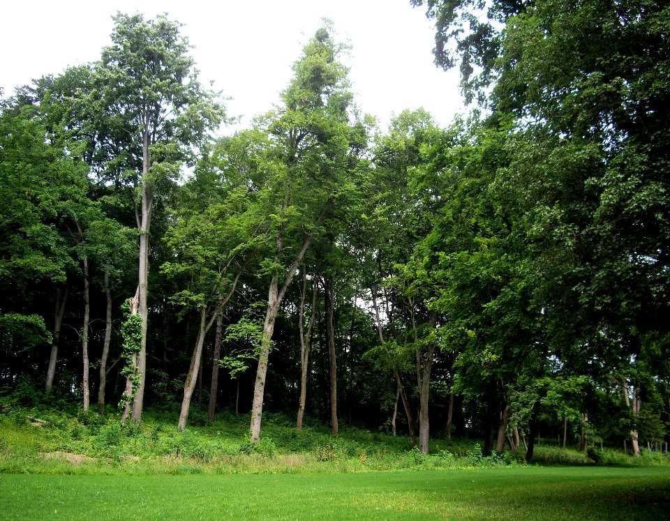 Goettinger-Kiessee-08