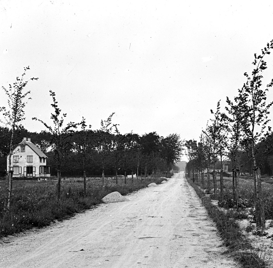 Goed aangebracht boompalen , Bestanddeelnr 194-0150